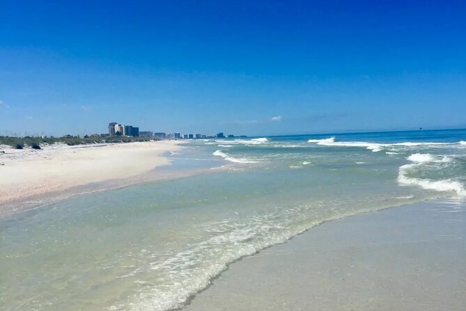 Small Group Clearwater Beach&Dolphin Watch Day Tour From Orlando