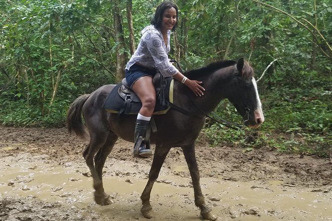 Small-Group Half-Day Horseback Riding Tour From Punta Cana