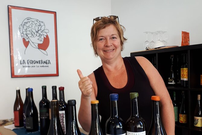 Small-Group Natural and Organic Wine Tasting Near Sitges