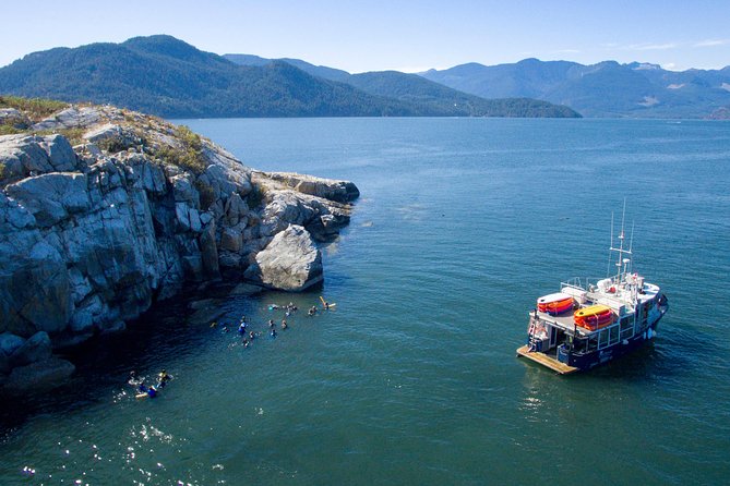 Snorkel, Kayak, and Seal Adventure: Vancouver Boat Tour - Exciting Activities Offered