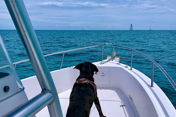 Snorkel the Coral Reef and Explore the Waters of Key West