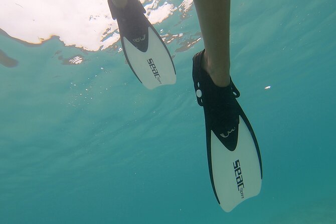 Snorkeling Gear Rental