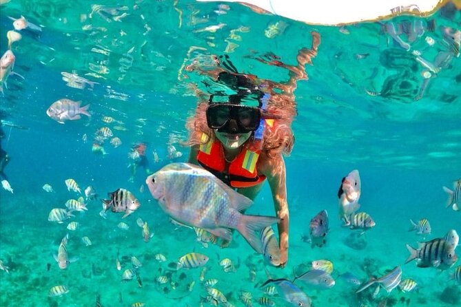 Snorkeling Tour Express in Cancun With Certified Guide - Tour Overview