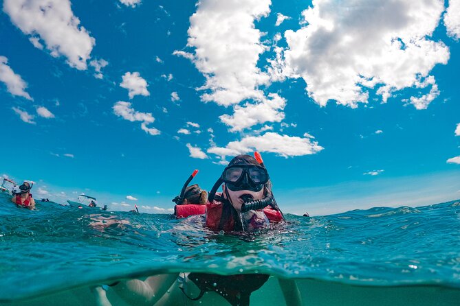 Snorkelling Experience in Leranto Bay - What to Expect
