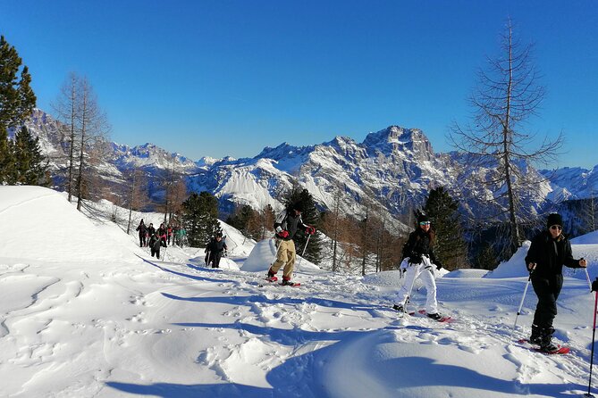 Snowshoe Hike to the Cinque Torri
