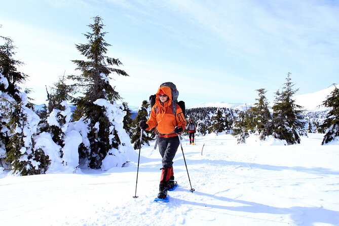 Snowshoe Rental at Tremblant