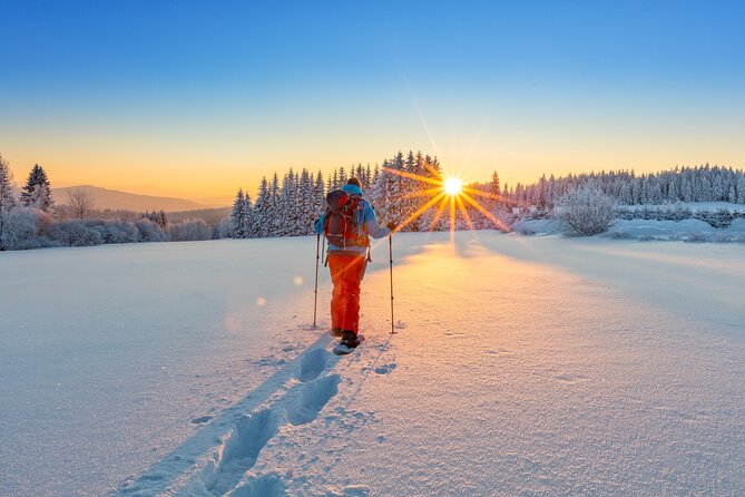 Snowshoeing at The Top of The Sea to Sky Gondola