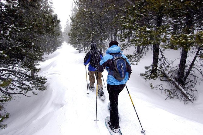 Snowshoeing Tour in Jacques-Cartier National Park