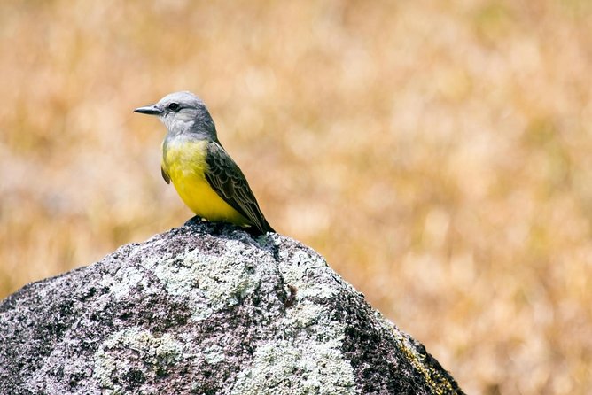 2 Best National Park Tours In Panama City