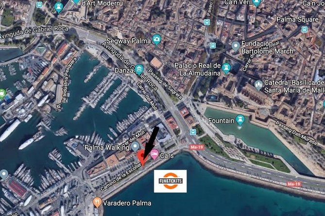 Soller Port With Train and Tram Mallorca Half Day Trip