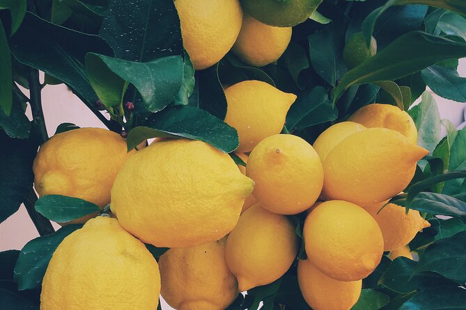 Sorrento Food and Walking Tour