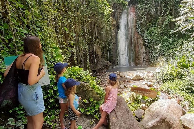 Soufriere Special Day Tour - Tour Overview
