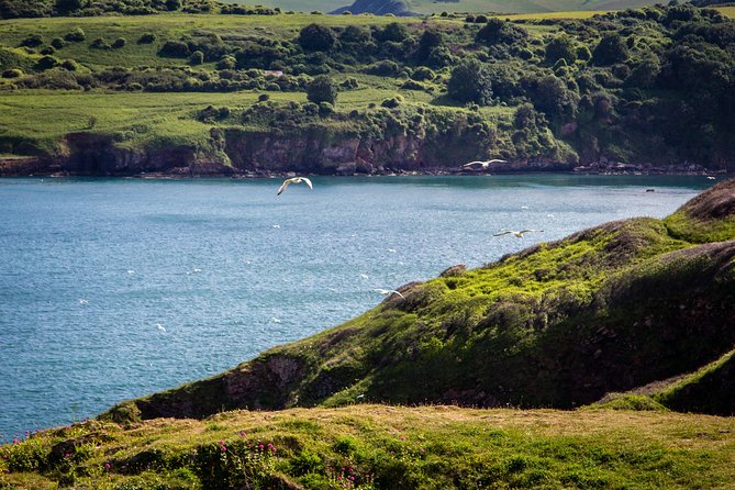 South West Coast Path Walking Review