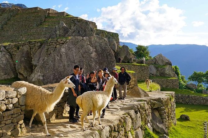 Special – Cusco City Tour – Private Experience