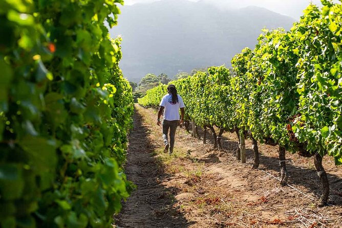 Splendour in the Winelands – Private Tour