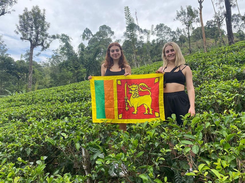 Sri Lanka : Kandy to Nuwara Eliya Day Tour