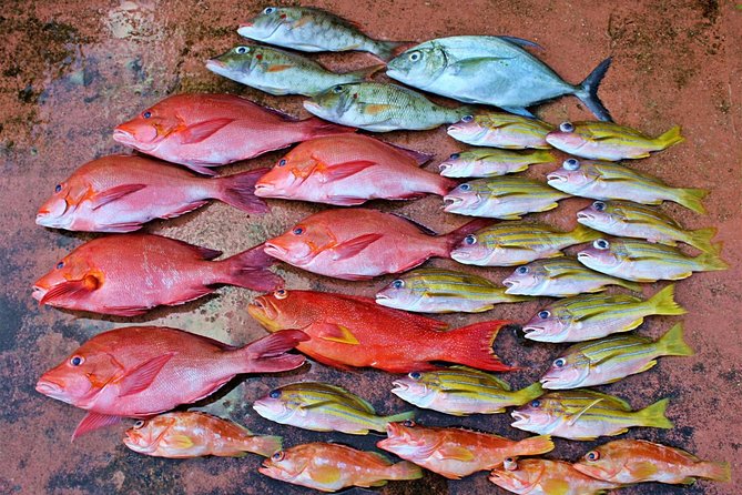 St. Lucia Deep Sea Fishing - Seasonal Fishing Opportunities