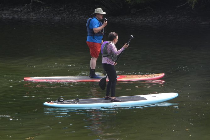 Stand up Paddleboard Tour With Complimentary Oyster Tasting