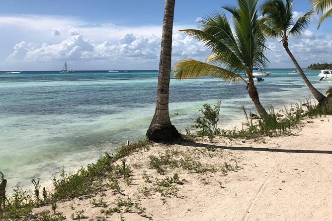 Standard and Premium Private Transfer From Punta Cana Airport to Cabarete