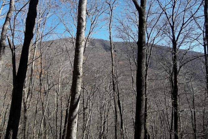 Standing Indian Mountain Hike Plus Wine Tasting Review - Transportation and Logistics