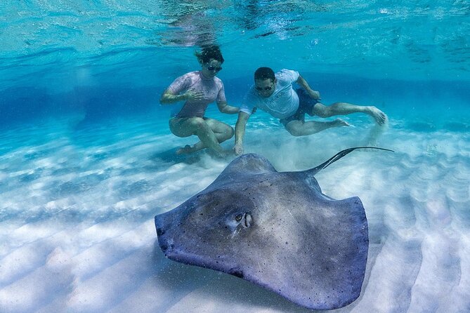 Stingray City and Barrier Reef Snorkel
