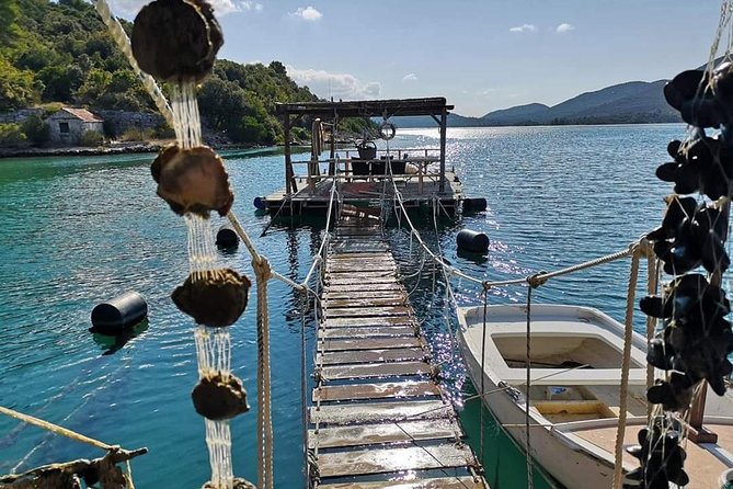 Ston Food Tour With Boat Ride From Dubrovnik