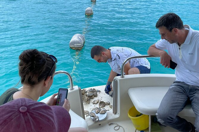 Ston Seafood & PelješA Wine Boat Tour With Oysters and Mussels