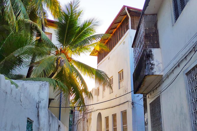 Stone Town Walking Tour in Zanzibar