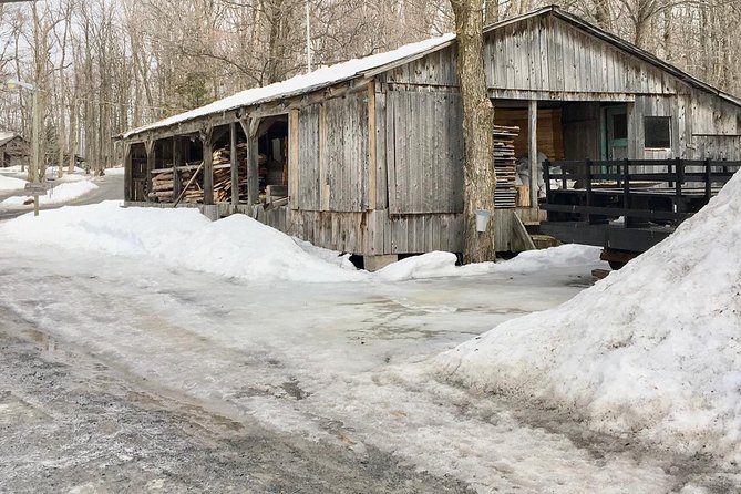 Sugar Shack (Feb to May) Maple Syrup Private Day Tour With Lunch From Montreal