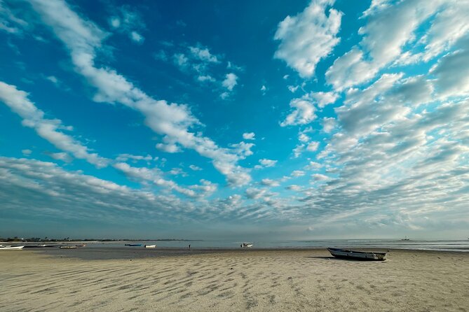 Sunrise Beach Walk With Picnic Breakfast Activity - Activity Overview