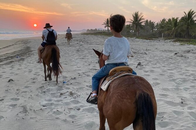 Sunset by Horse (River and Beach) - Overview and Experience