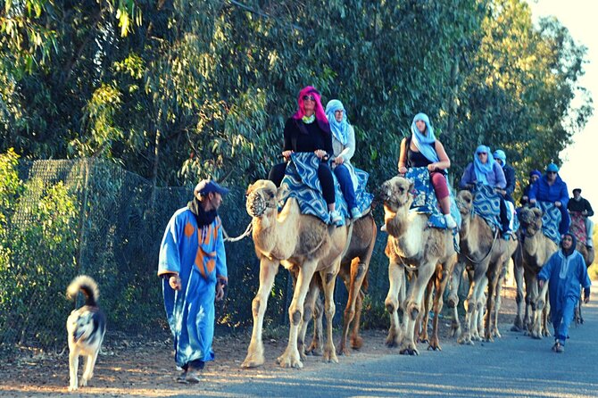 Sunset Camel Ride and Barbecue Dinner in Agadir