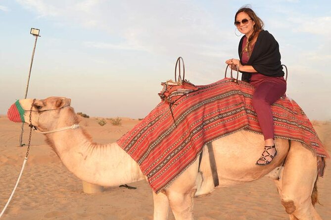 Sunset Camel Ride Including BBQ Dinner From Ras Al Khaimah