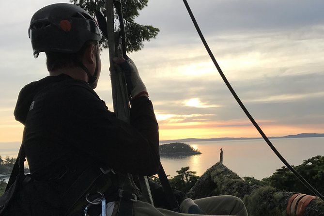 Sunset Canopy Climb on Lopez Island - Experience Overview