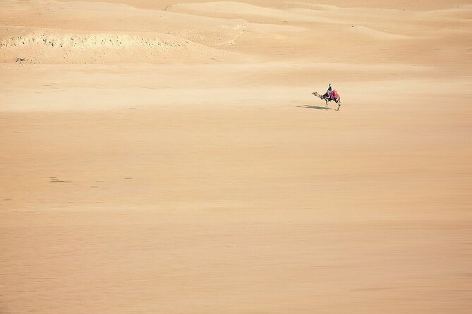 Sunset Safari Tour By Horse or Camel Ride - Exploring the Giza Pyramids