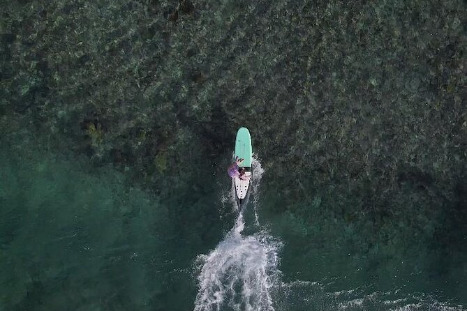 Surf Lessons Guadeloupe Beginners Intermediate Confirmed