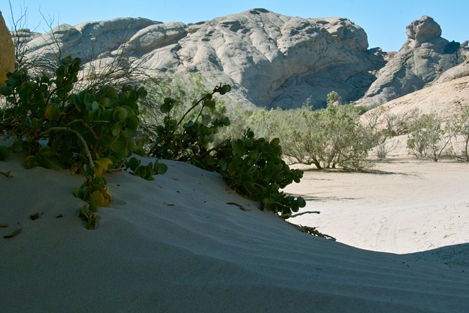 Swakop River Valley & Spitzkoppe Full Day 4×4 Tour From Walvis Bay