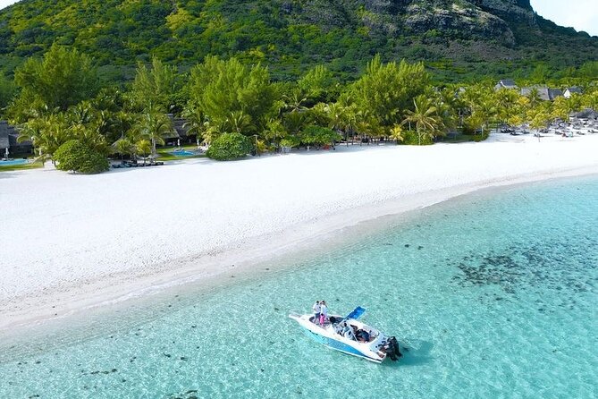 Swimming With Dolphins, Turtles, Whales / Seafood Lunch - Meeting and Pickup Information