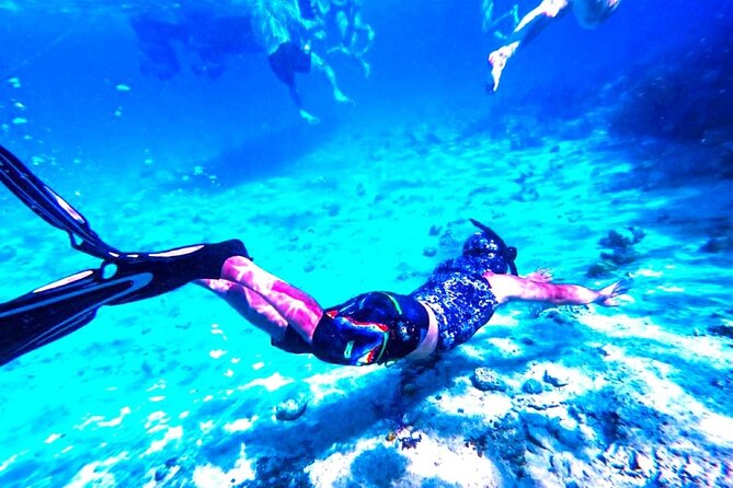 Swimming With Pigs in Exuma Private Tour From Nassau