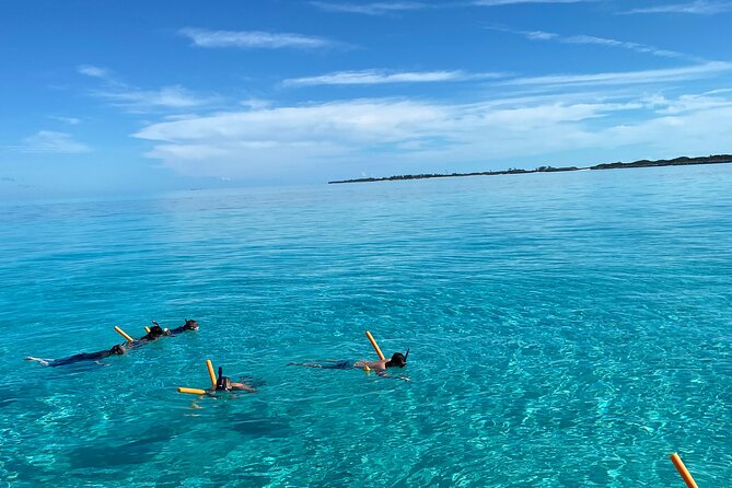 Swimming With Turtles, Snorkeling Reef and Beach Combo Tour