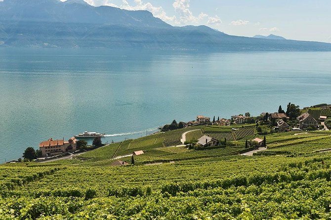 Swiss Wine Tasting at Lavaux Vineyards: Private Trip From Geneva - Tour Overview