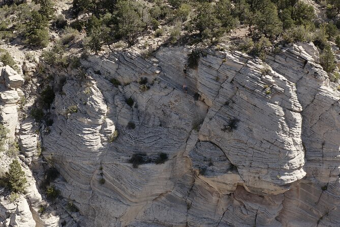 Tallest in Utah via Ferrata & Rappelling (4 Hr)