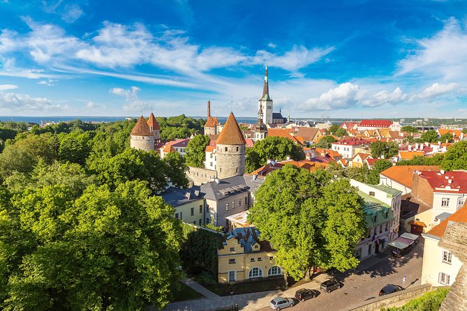 Tallinn Highlights and Marzipan Painting Masterclass