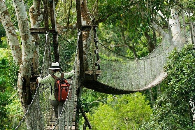Tambopata (Puerto Maldonado) 4 Days