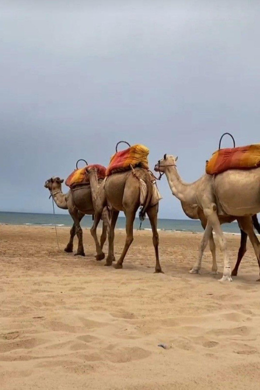 Tangier: Sunset Tour With Tea, Camel Ride & Cap Spartel
