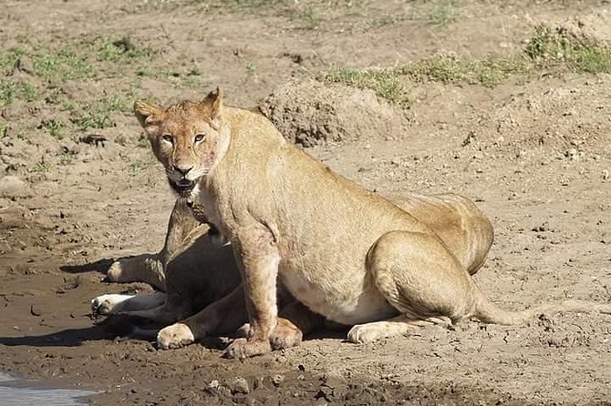Tanzania Safari Join Group
