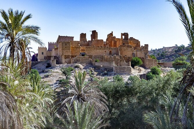 Taroudant and Tiout Oasis With Lunch - Inclusions and Accessibility
