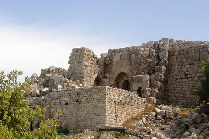 Tel Dan and Baniyas National Parks Private Tour