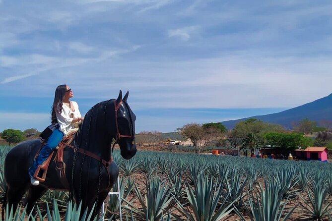 Tequila Tour With Tasting.