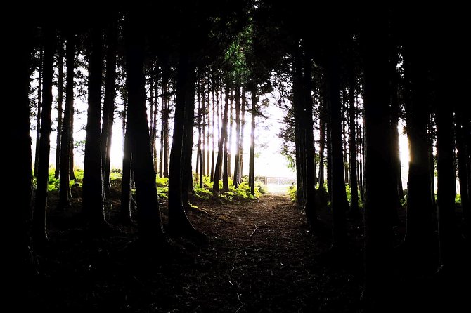 Terceira Island Private Tour: Full-Day